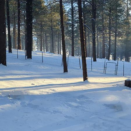 Close To Williams, Flagstaff, Grand Canyon And Sedona Екстериор снимка
