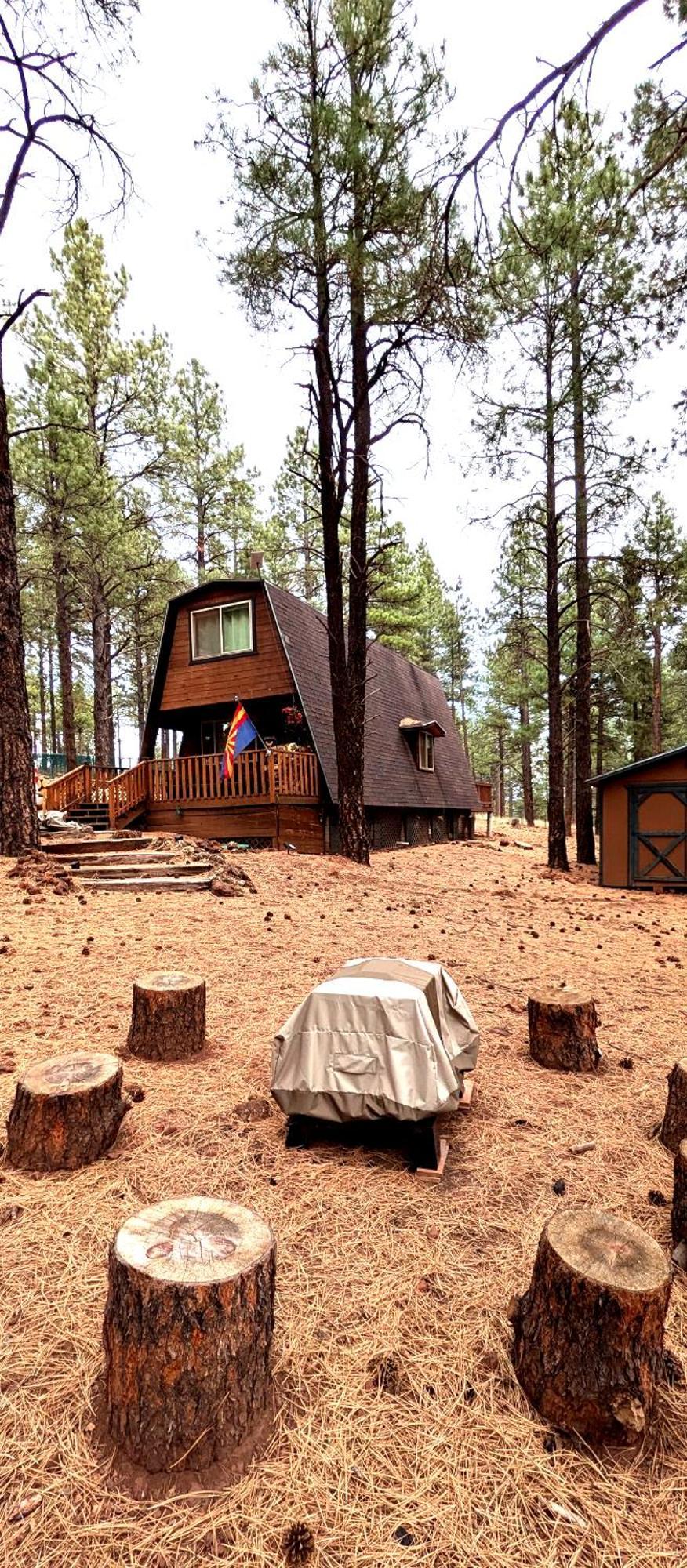 Close To Williams, Flagstaff, Grand Canyon And Sedona Екстериор снимка