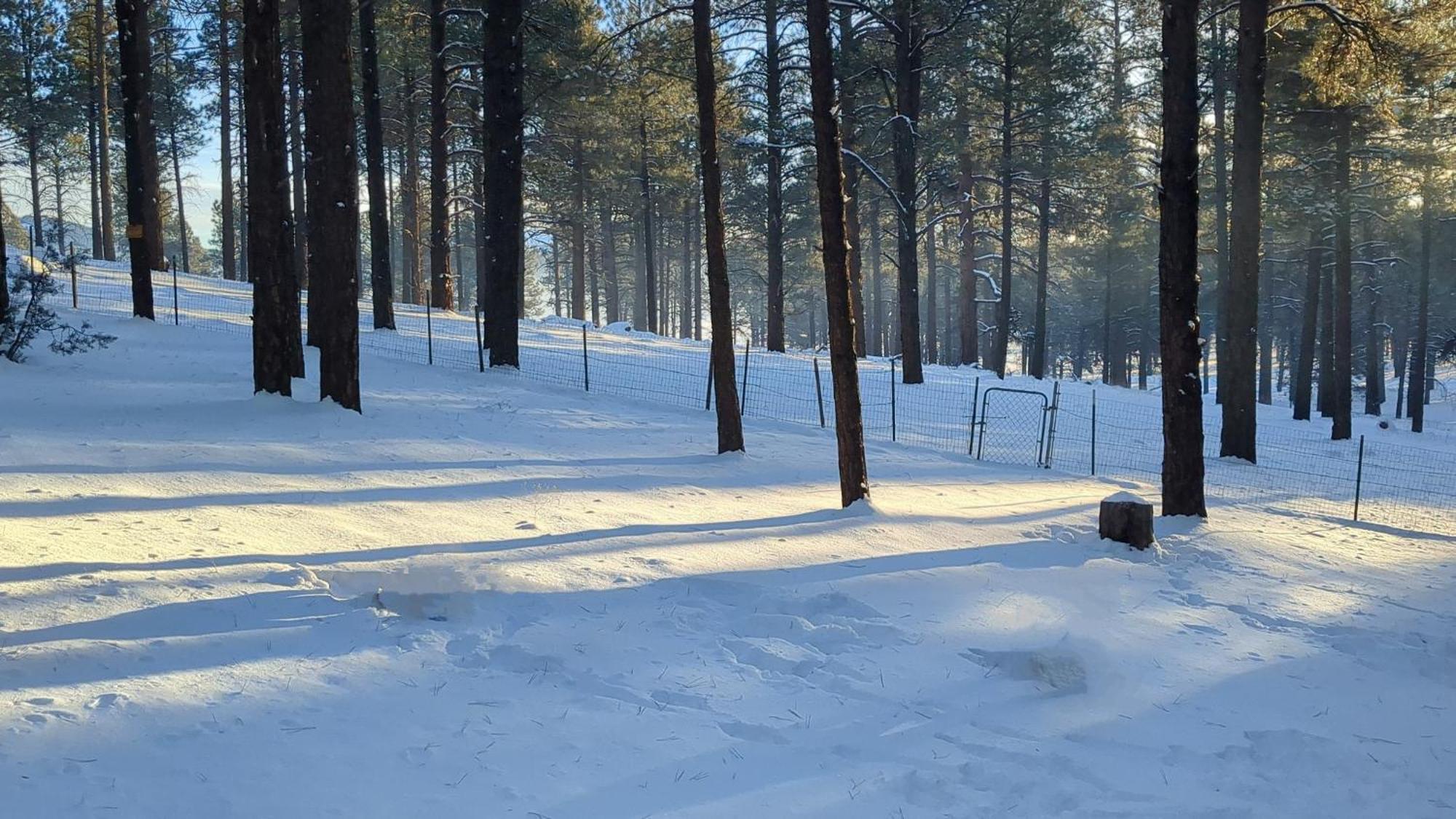 Close To Williams, Flagstaff, Grand Canyon And Sedona Екстериор снимка