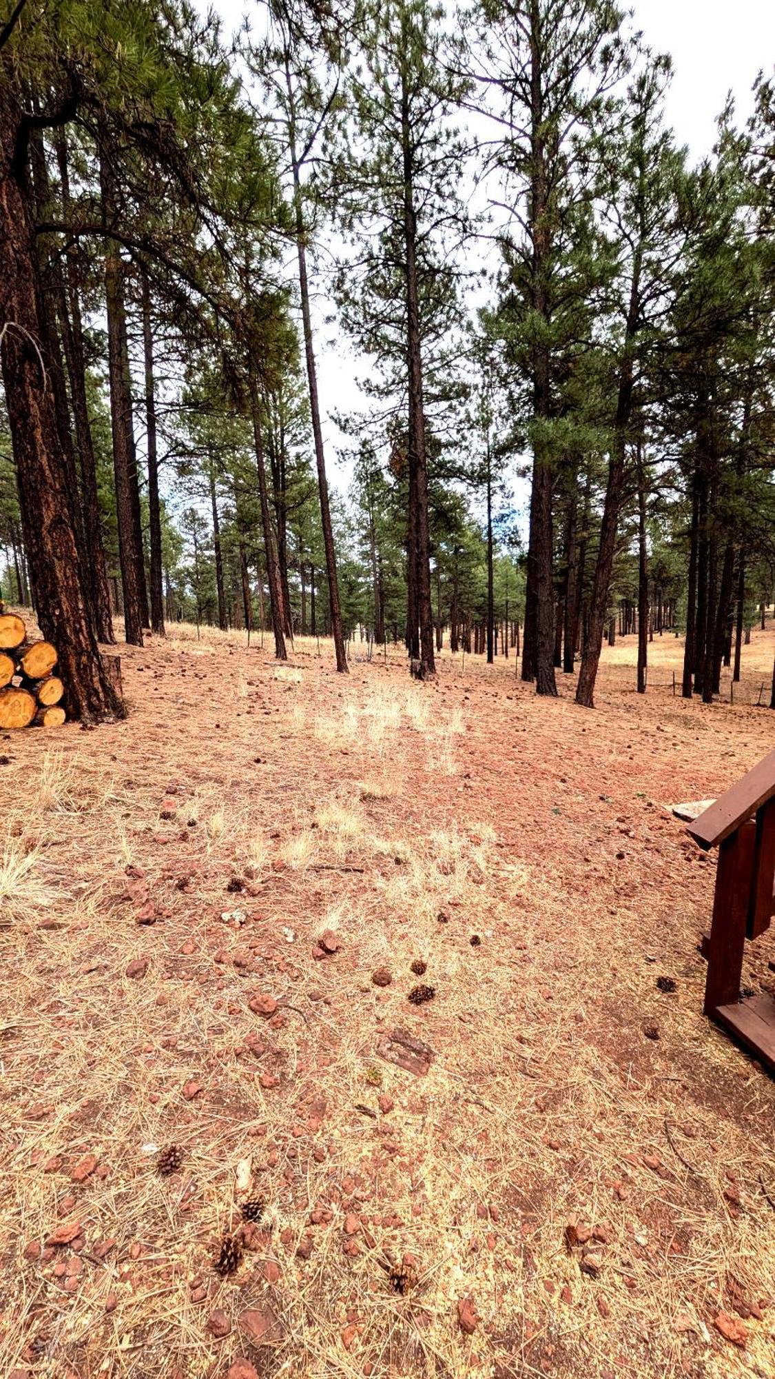 Close To Williams, Flagstaff, Grand Canyon And Sedona Екстериор снимка