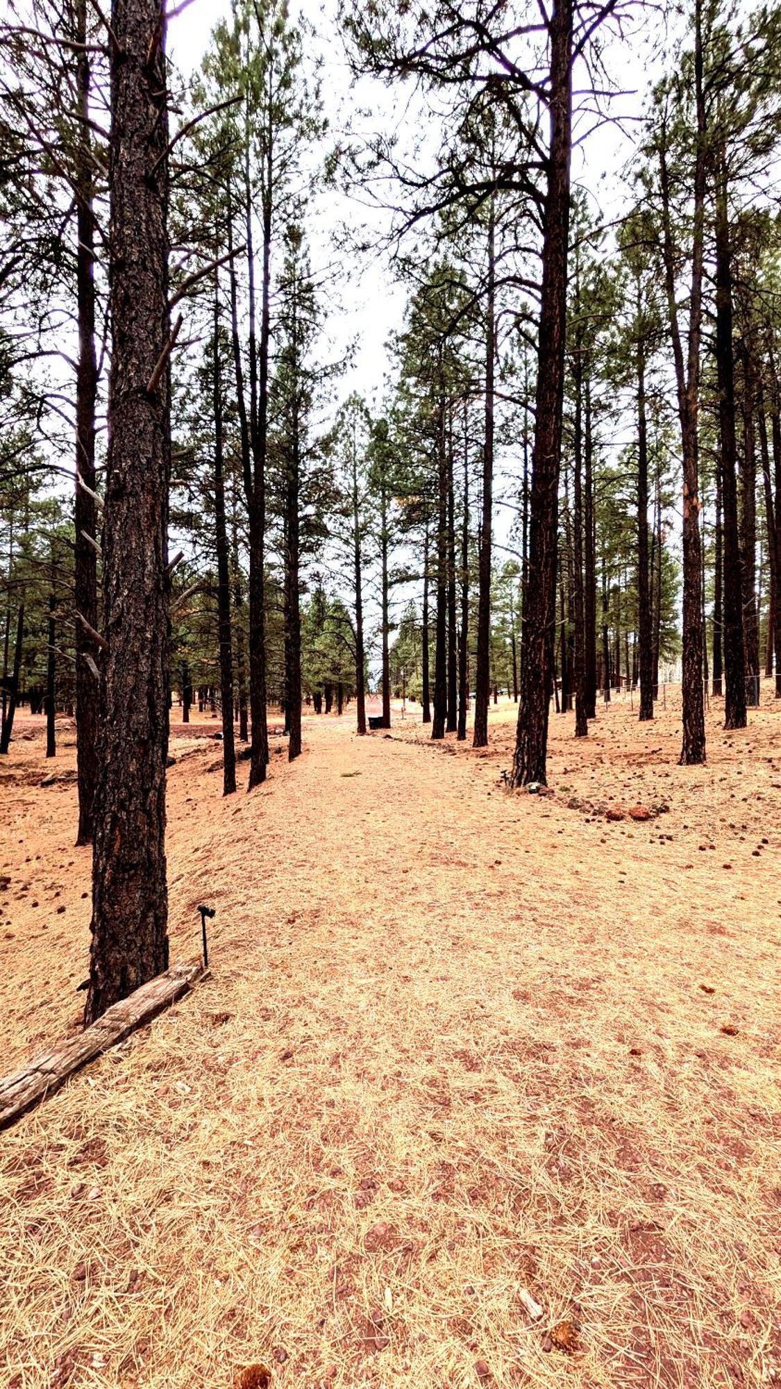 Close To Williams, Flagstaff, Grand Canyon And Sedona Екстериор снимка